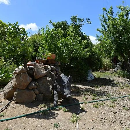 Oasis Fataga 2 *
